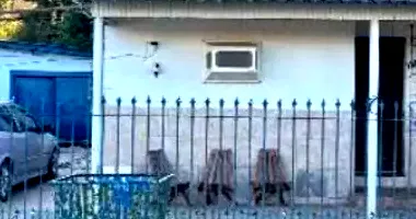Casa com 2 quartos e 1 banheiro em Passo Fundo - Oportunidade!