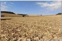 Terreno Rural 16,57 ha sem benfeitorias em Nova Cantu/PR