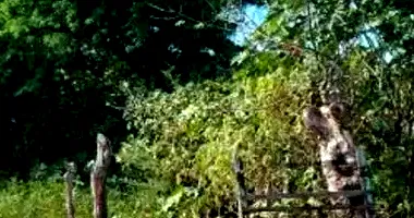 Terreno Amplo em Leilão