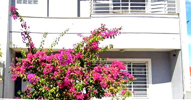 Sobrado com 4 andares, 229,45m² construídos, 3 banheiros