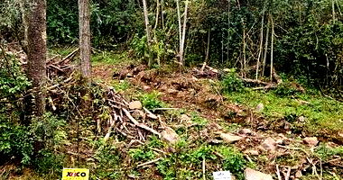 Terreno em Nova Petrópolis com 465,46m²