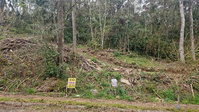 Terreno em Nova Petrópolis com 465,46m²