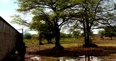 Lote de Terreno com 363m² em Araguacema