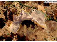 Sítio com Casa e Barragem, 43,64ha, Área Rural