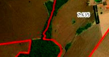 Parte de Terras com 334 ha (Fazenda Retiro do Bom Jardim)