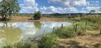 Fazendas com 66,69 ha, ideal para pecuária, Tuntum/MA