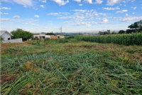 Terreno Urbano com 300m² em Palotina/PR