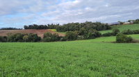 Terreno Rural de 6 hectares em Nova Ramada - RS