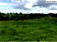 Chácara Rural com 4,91 ha e Barracão Suinícola