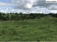 Chácara de 4,91 ha com Poço e Barracão Suinícola - Colorado do Oeste/RO