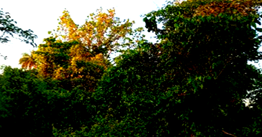 Terreno em Formosa da Serra Negra MA - Zona Rural