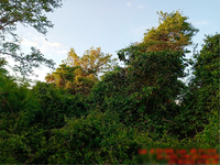 Terreno em Formosa da Serra Negra MA - Zona Rural