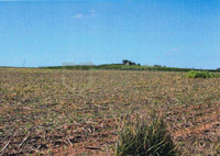 Fazenda Nossa Senhora - Alterosa (MG)