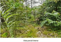 Imóvel Rural com 1.717,01ha em Rio Preto da Eva/AM