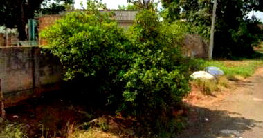 Casa com terreno no Uvaranas - Ponta Grossa/PR