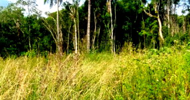 Terreno urbano desocupado com 528m² em loteamento residencial