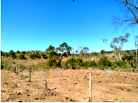 Parte Ideal de Sítio com 6 Hectares em Pimenta Bueno/RO