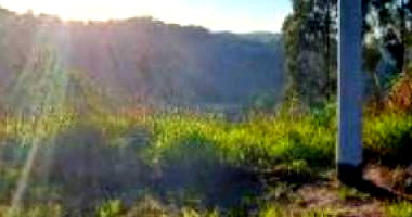 Terreno 330m² em Cordilheira Alta/SC - Oportunidade única