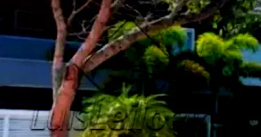 Casa de Alto Padrão em Condomínio Fechado - Barra da Tijuca