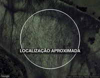 Sítio c/ 10,59 hectares - Ilha da Torotama