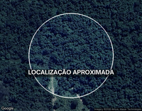 Lote com 13 Terrenos em Mozarlândia/GO