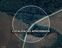 Lote de 24,16 Ha em Conchinhos, Irati/PR - Área Rural