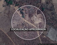 Sítio com 26 hectares, 2 casas, curral e pomar em Palmeirante/TO