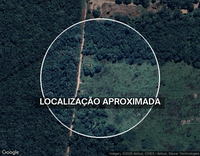 Área Rural com 20 ha, desocupada, ideal para investimento