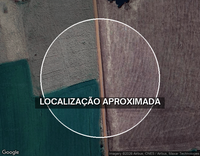 Área rural de 70.000m² com casa e galpão em Ibirubá/RS