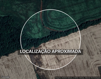 Terreno de 2 hectares em área rural