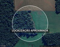 Área de Terras com 77.400m² em Linha Alegre, Nova Brescia/RS