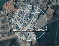 Fazenda com 62.000 pés de café em produção