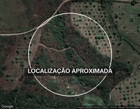 Terreno rural de 36,40 ha com plantio de cajueiros