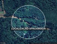 Terreno Rural de 30 Hectares com CAR Ativo