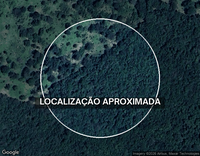Fazenda com 403,26 hectares, ideal para investimento rural