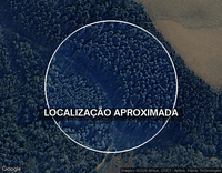 Terreno Rural com 11,24 Hectares em Porto União - SC