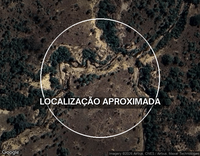 Fazenda Dois Irmãos com 250ha - Excelente para Pecuária