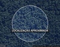 Imóvel Rural com 188 hectares em Guaraqueçaba