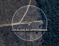 Fazenda Medalha Milagrosa - 1.000 hectares, rural, desocupada