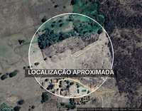 Sítio com 130,96 tarefas, casa e cacimbão
