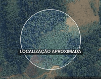 Área Rural de 726ha em Adrianópolis/PR, desocupada