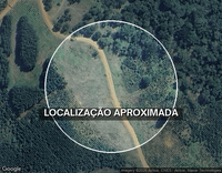 Terreno com 4 Galpões em União da Vitória/PR - 12.100m²