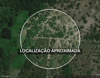Terreno de 25 hectares em área rural