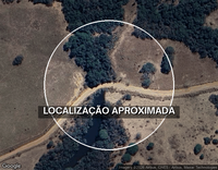 Fazenda L.T.O. - Área Rural com 774,50 ha - Ocupada