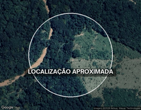 Fazenda Riacho do Mato, 210,5 ha, ocupada, ideal para investimento rural