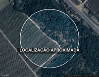 Sítio com 84,02 hectares em Guaratinga/BA