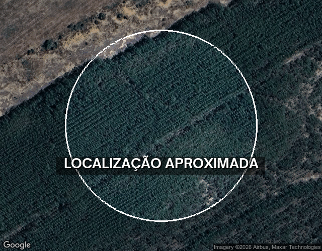 Terreno Praia Atlântida Sul - Lote 29 - Osório/RS