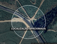Sítio Bonsucesso com 58 ha e 11 mil cafeeiros em Tanabi/SP - Parte Ideal 51%