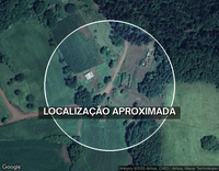 Vaca Jersey 350kg - Leilão Judicial - Excelente Oportunidade!