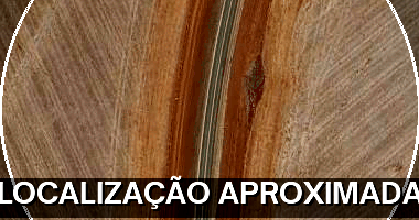 Fazenda com 251,36ha para agricultura e pecuária em Primavera do Leste/MT